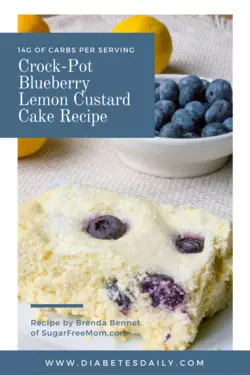 40 Crock Pot Low Carb Blueberry Lemon Custard Cake