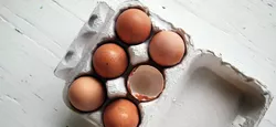 Eieren invriezen