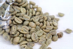 Koffie Verwerken Van Plant Tot Groene Koffieboon